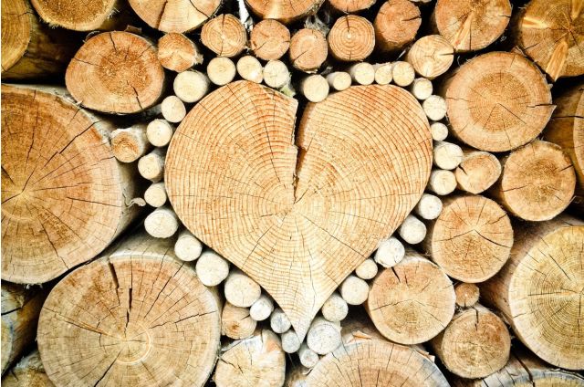 Réaliser une toile de fond photo en bois pour un mariage